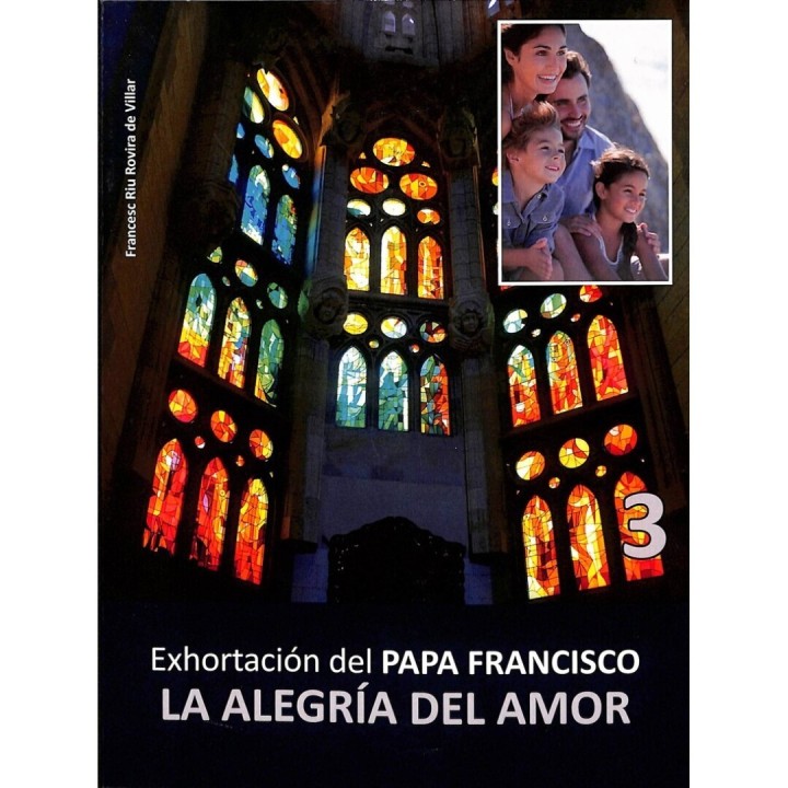 Exhortación del Papa Francisco: LA ALEGRÍA DEL AMOR III